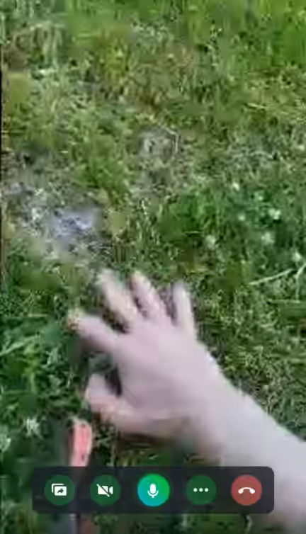 трогание травы